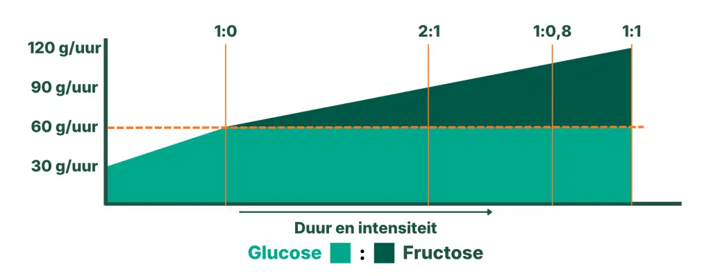Glucose / fructose verhouding tijdens inspanning.